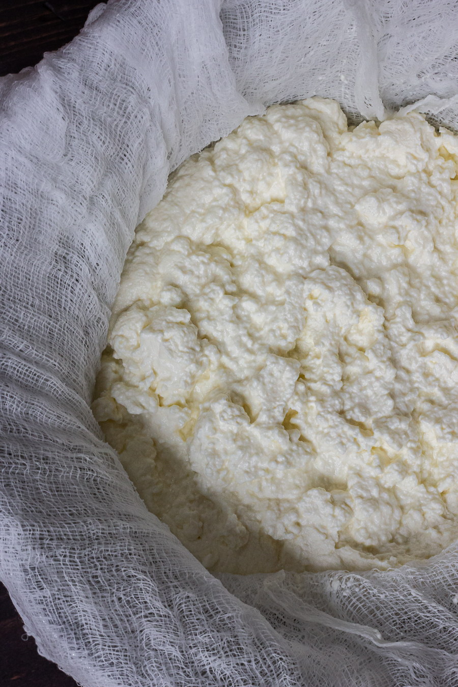 ricotta cheese recipe