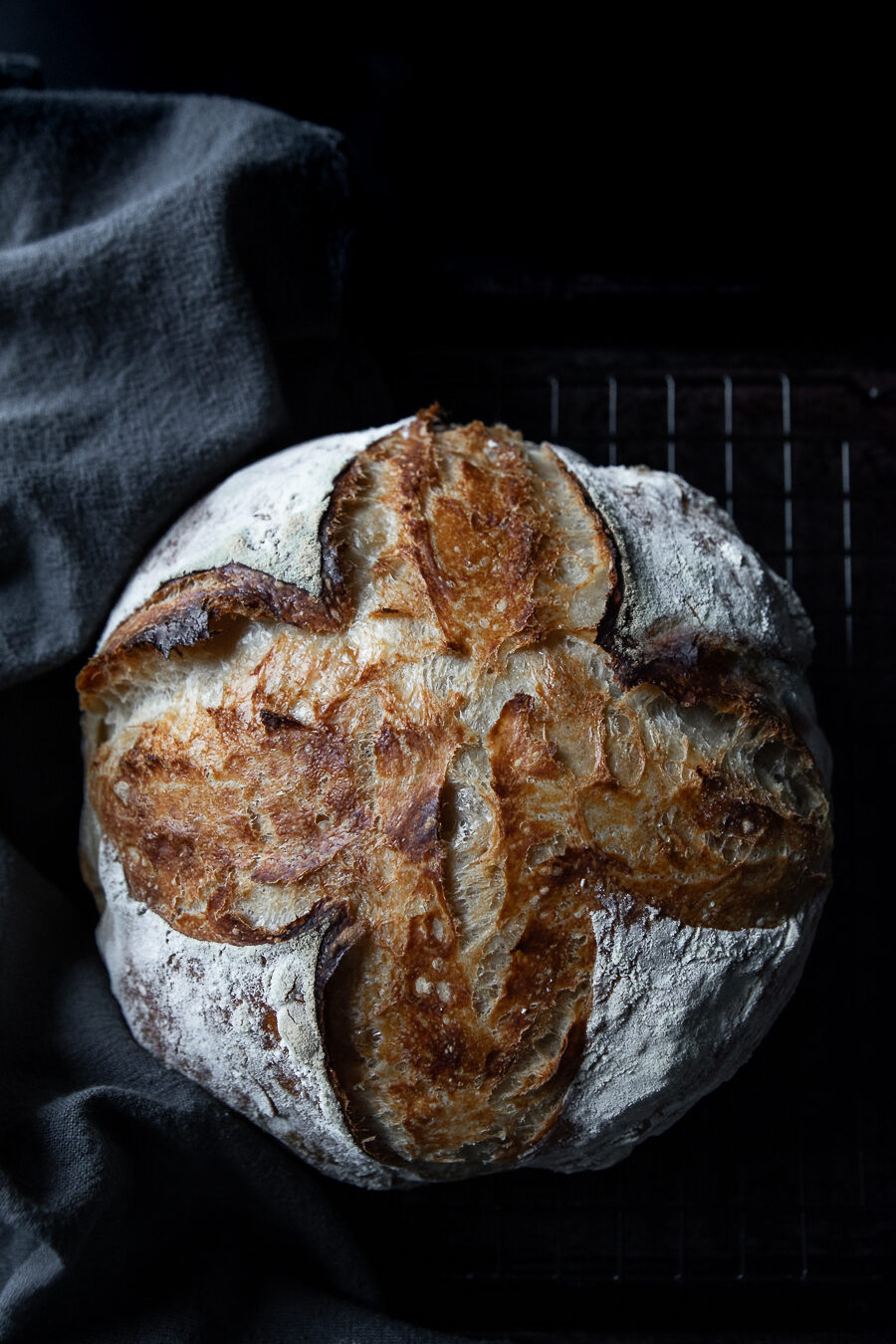 wild fermented bread